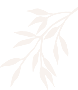 leaves 2